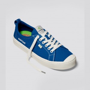 Cariuma Low Top Canvas OCA LOW Dames Blauw | LNQA57986