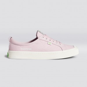 Cariuma Low Top Canvas OCA LOW Dames Pale Lilac | GMWR29751