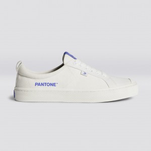 Cariuma Low Top Canvas Veganistische OCA LOW Dames Off-White / Very Peri Canvas | LNKG84532