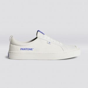 Cariuma Low Top Canvas Veganistische OCA LOW Heren Off-White / Very Peri Canvas | WPMJ86913