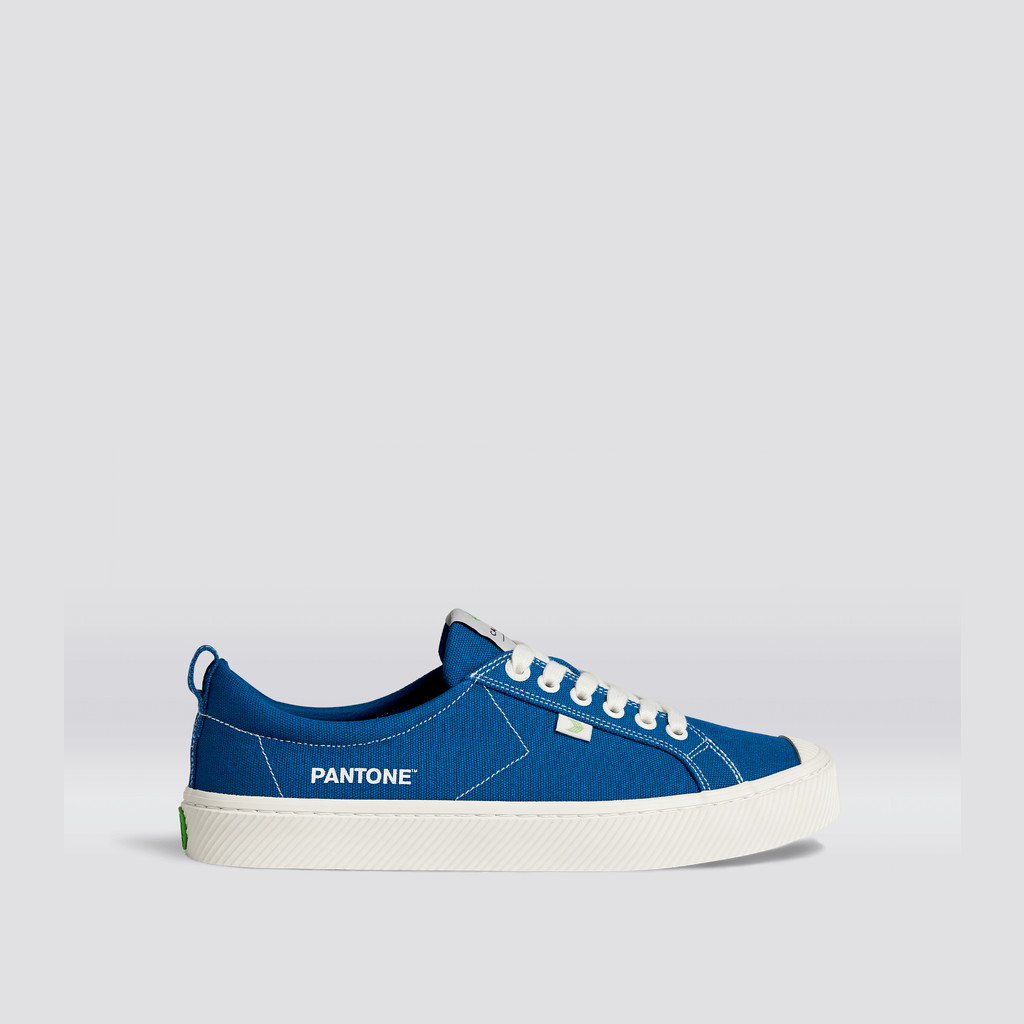 Cariuma Low Top Canvas OCA LOW Dames Blauw | LNQA57986