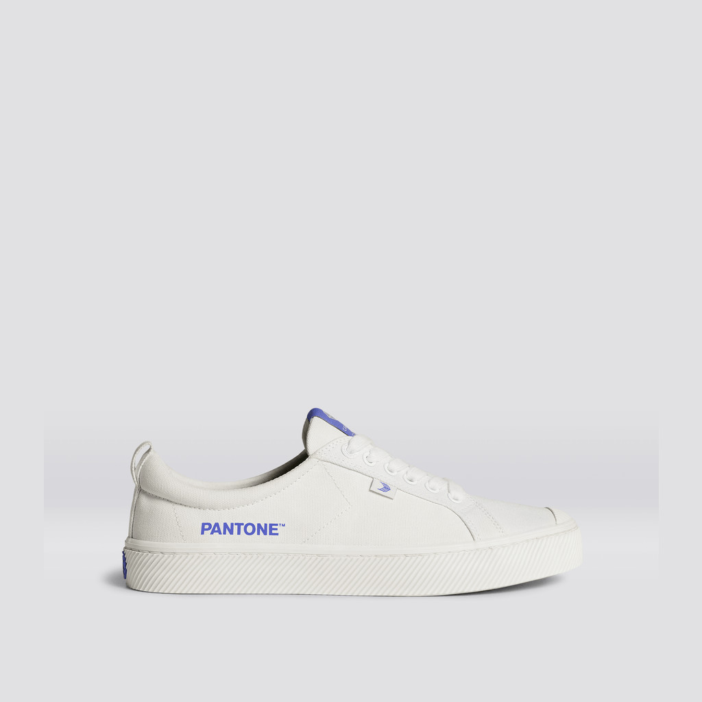 Cariuma Low Top Canvas Veganistische OCA LOW Heren Off-White / Very Peri Canvas | WPMJ86913